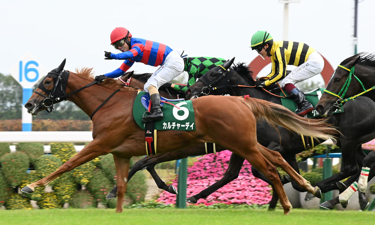 ファンタジーSをカルチャーデイで制した酒井学騎手はガッツポーズ（撮影・前岡正明）