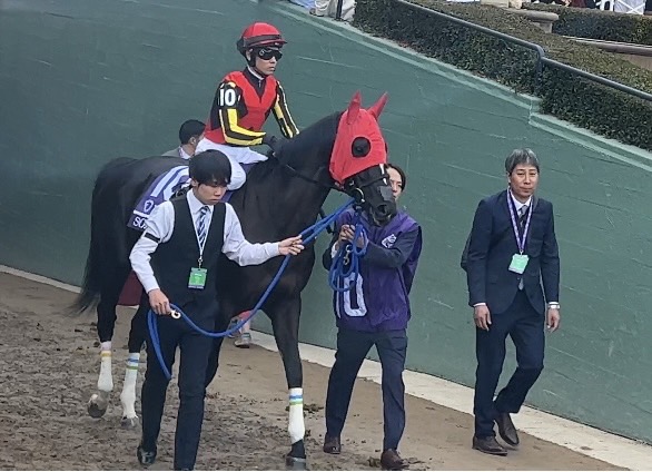BCマイルへ臨むソングラインと戸崎騎手（撮影・藤本真育）
