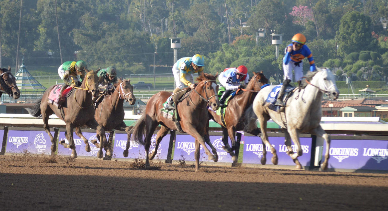 BCクラシックで2着だったデルマソトガケ（中央）（撮影場所＝サンタアニタ競馬場）（撮影・藤本真育）