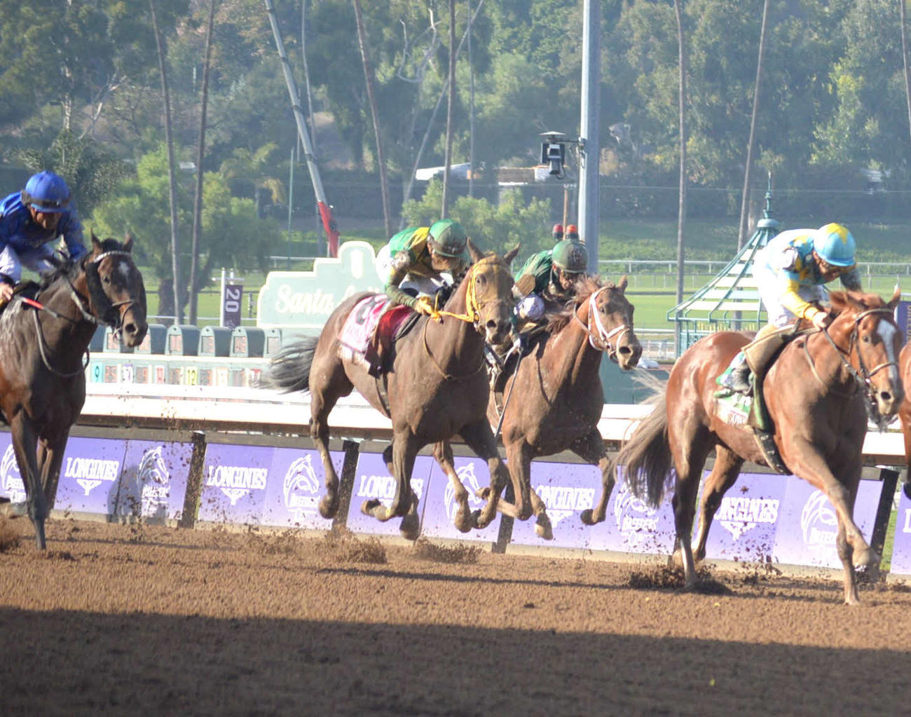 BCクラシックで5着だったウシュバテソーロ（右から3頭目）（撮影・藤本真育＝サンタアニタ競馬場）