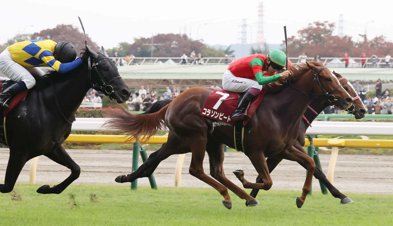 東京11R、京王杯2歳Sを制したコラソンビートと横山武騎手（撮影・丹羽敏通）