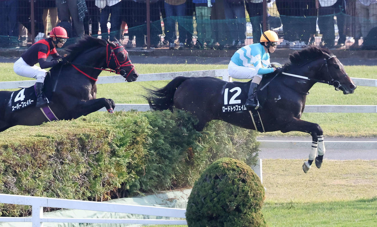 東京8R、秋陽JSを制したロードトゥフェイムと五十嵐騎手（撮影・丹羽敏通）
