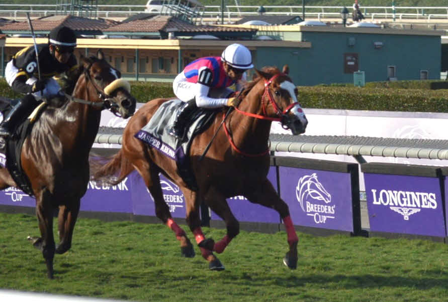 BCターフスプリントで着外に終わったジャスパークローネ（撮影場所＝サンタアニタ競馬場）（撮影・藤本真育）