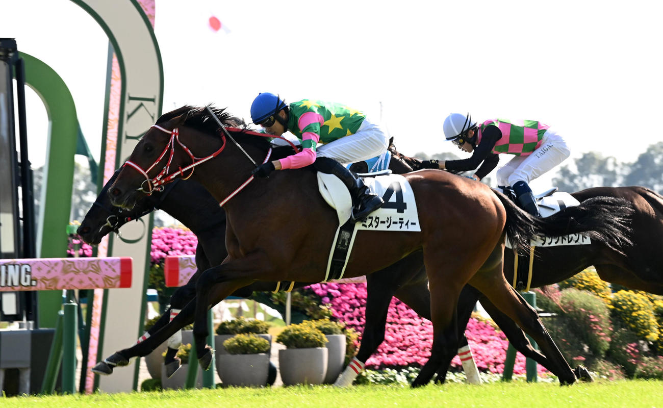 京都5R新馬戦を制したミスタージーティー（撮影・前岡正明）