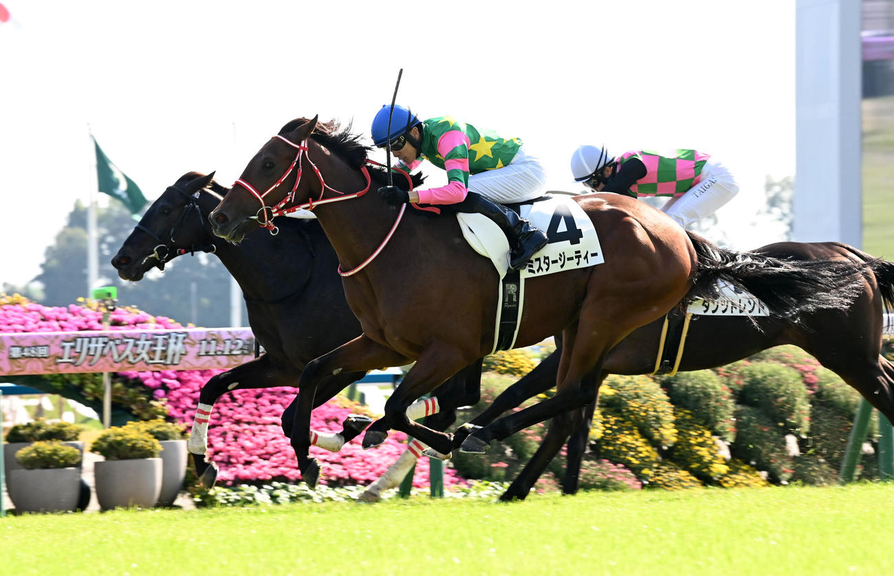 京都5R新馬戦を制したミスタージーティー（撮影・前岡正明）