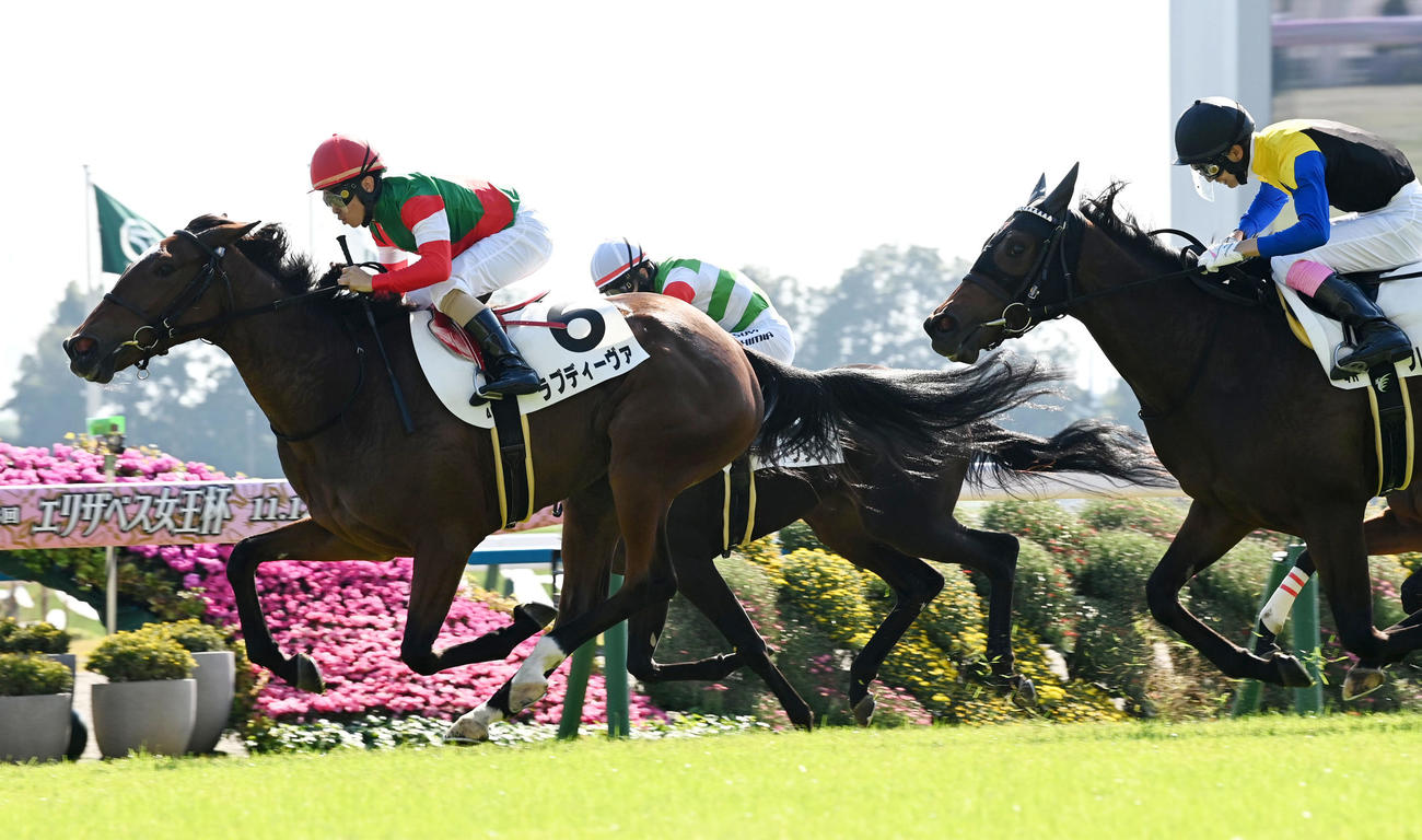 新馬戦を制したラブディーヴァ（撮影・前岡正明）