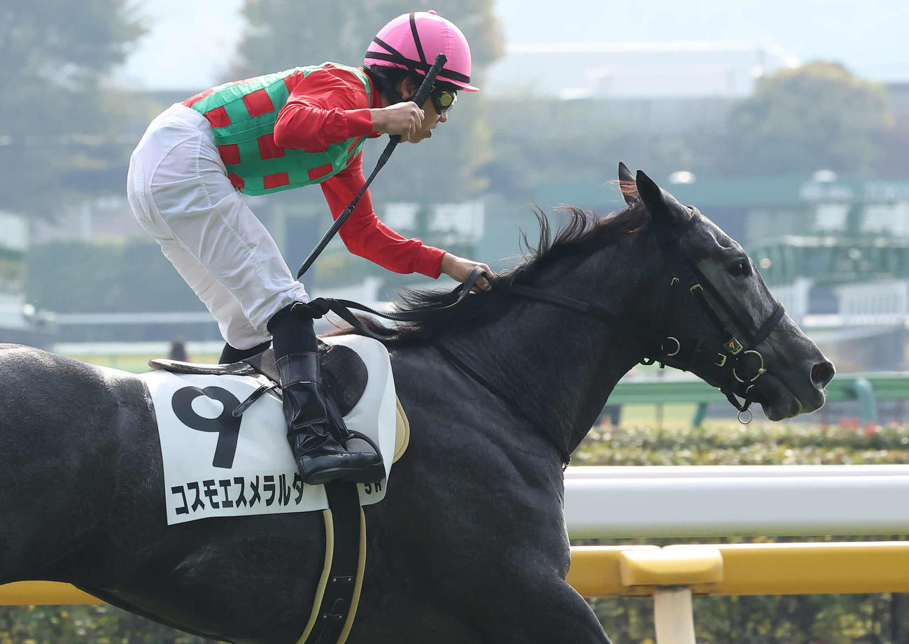 東京5R、コスモエスメラルダで2歳新馬戦を制してガッツポーズを決める柴田大騎手（撮影・丹羽敏通）