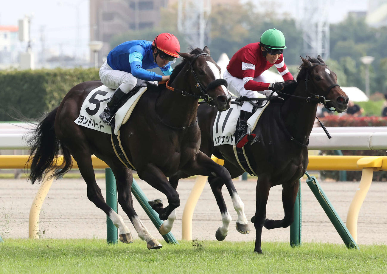東京6R新馬戦を制したグランドハーバーと菅原明騎手（左）（撮影・丹羽敏通）