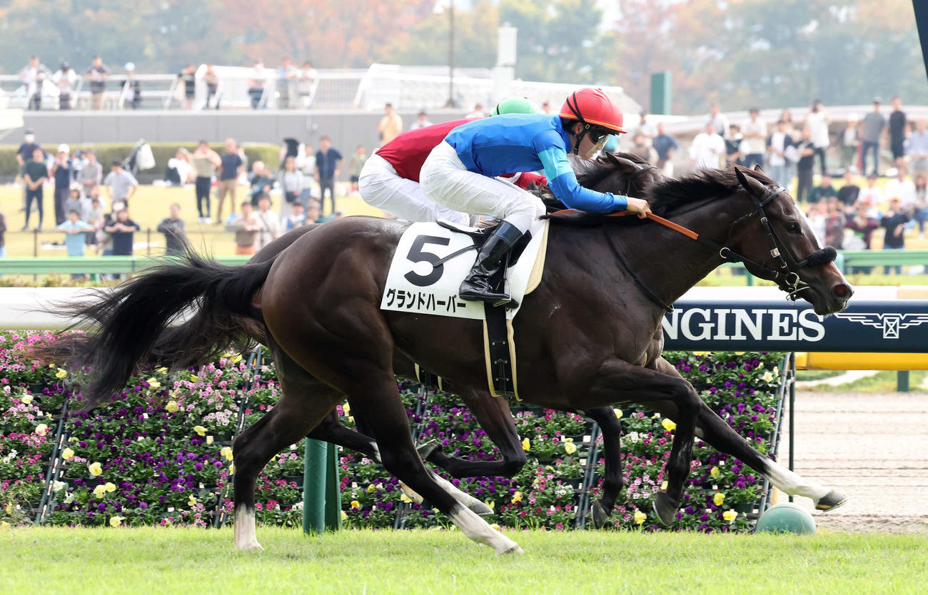 東京6R新馬戦を制したグランドハーバーと菅原明騎手（撮影・丹羽敏通）
