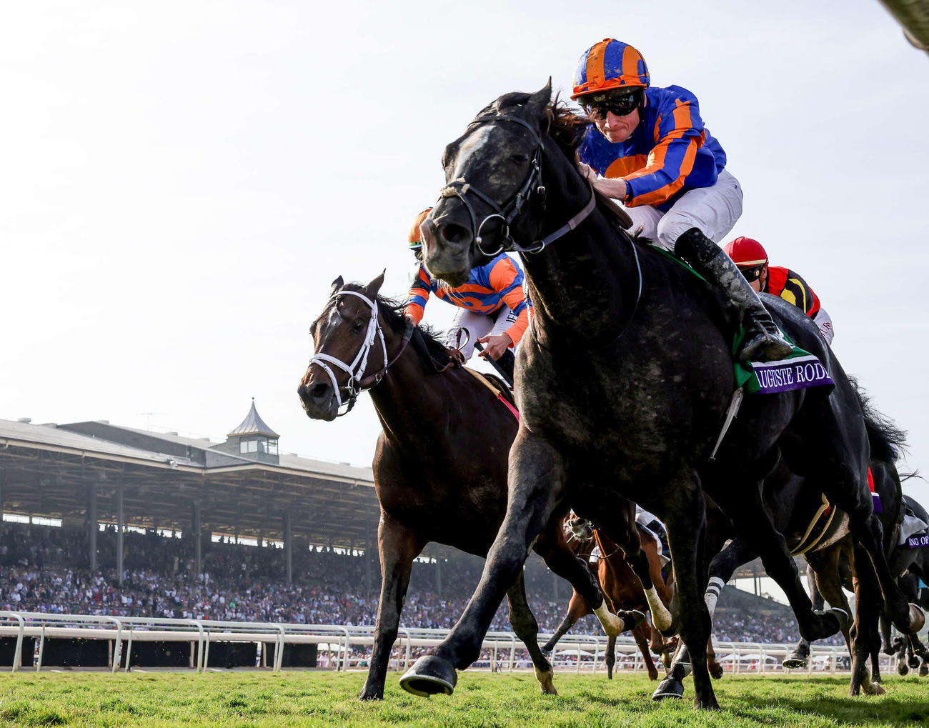 （C）Alex Evers／Eclipse Sportswire／Breeders Cup