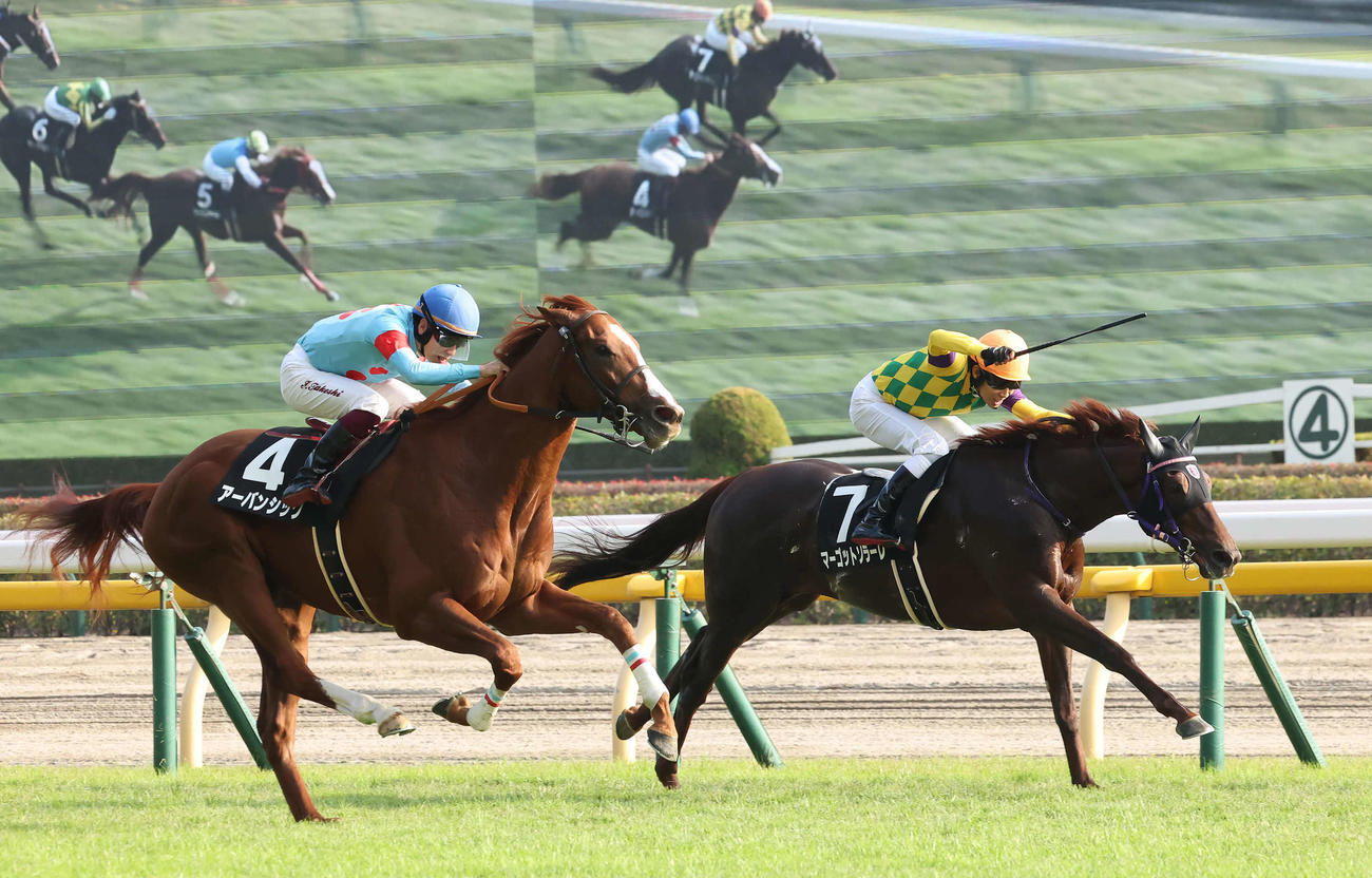 東京9R百日草特別でマーゴットソラーレ（右）との競り合いを制したアーバンシックと横山武騎手