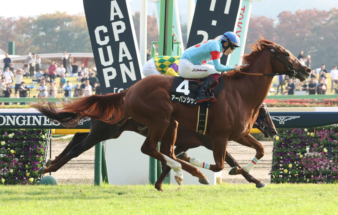 東京9R百日草特別を制したアーバンシックと横山武騎手（撮影・丹羽敏通）