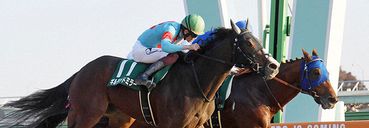 武蔵野Sを制したギルデッドミラー（手前）、2着レモンポップ（撮影・柴田隆二）＝2022年11月12日、東京競馬場