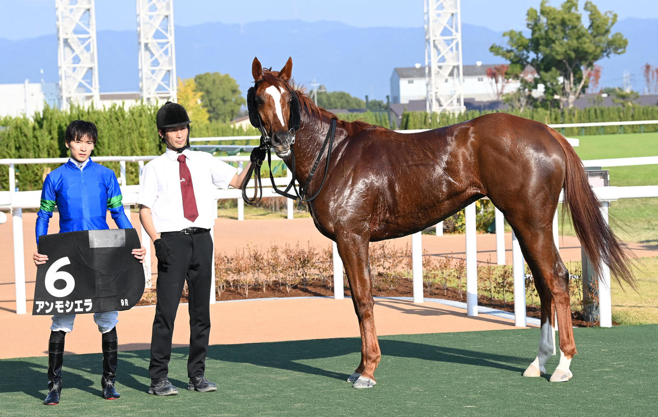 もちのき賞を制したアンモシエラと坂井騎手（撮影・前岡正明）