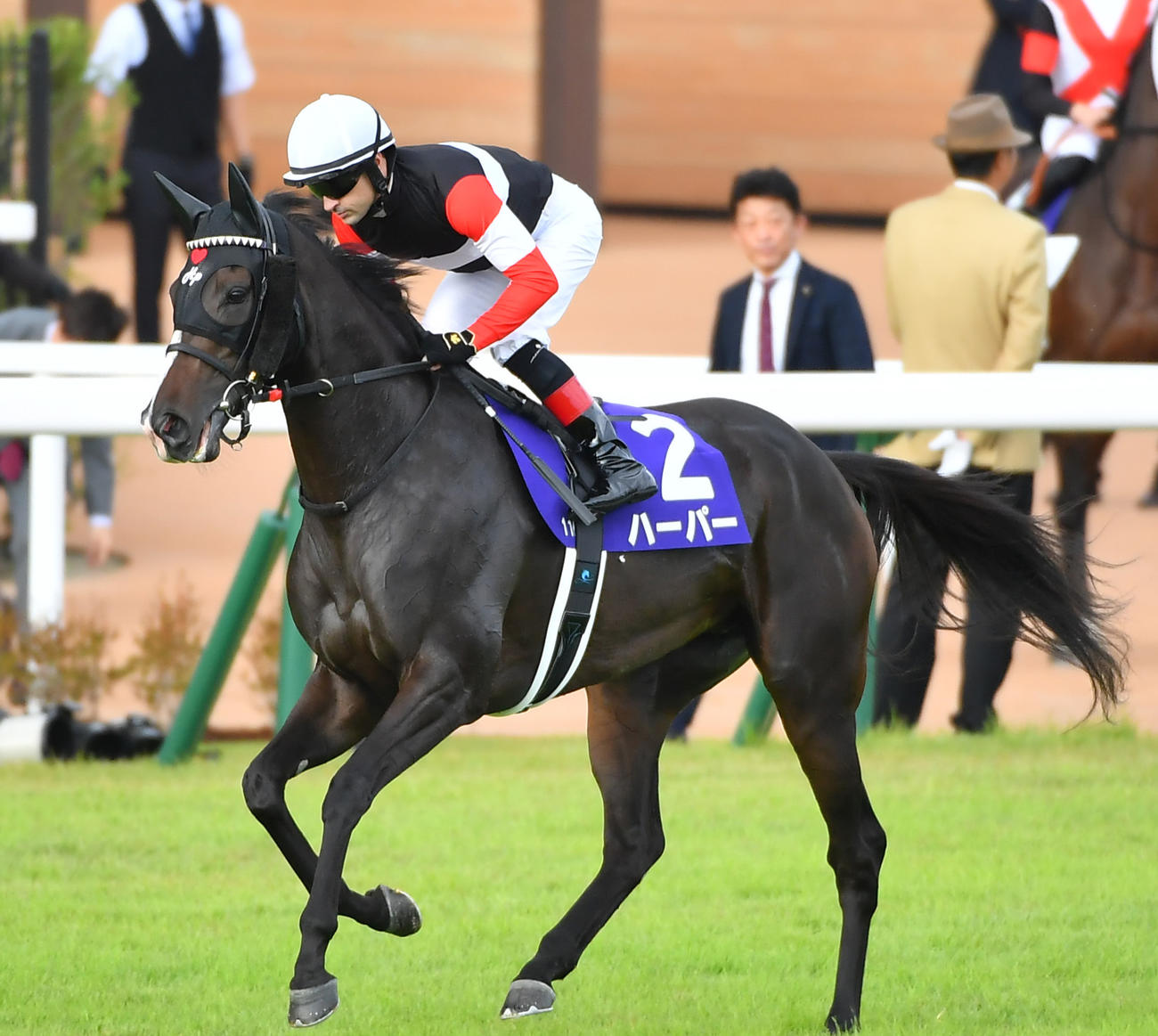 秋華賞3着のハーパー（2023年10月15日撮影）