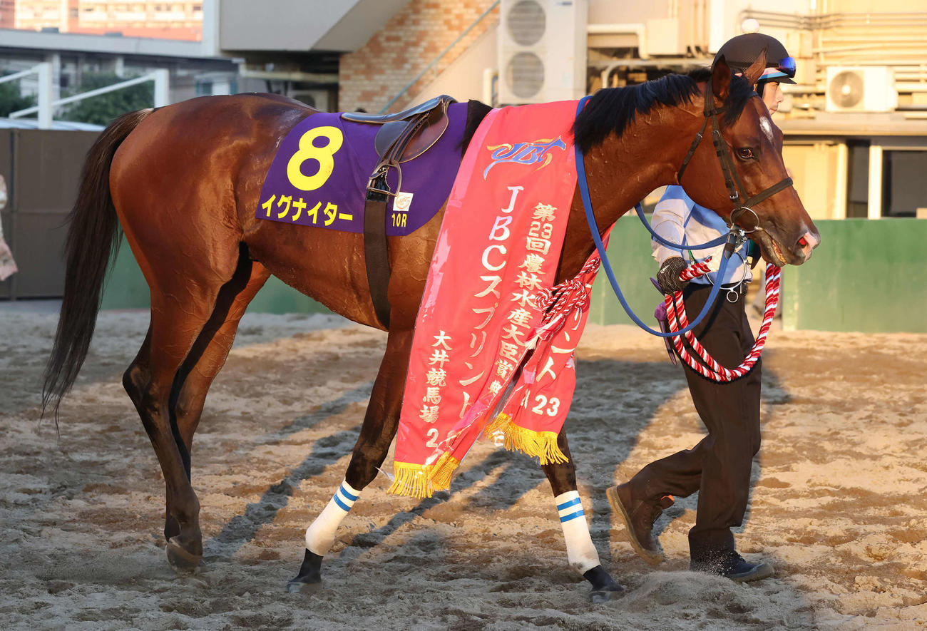 JBCスプリントを制したイグナイター（2023年11月3日撮影）