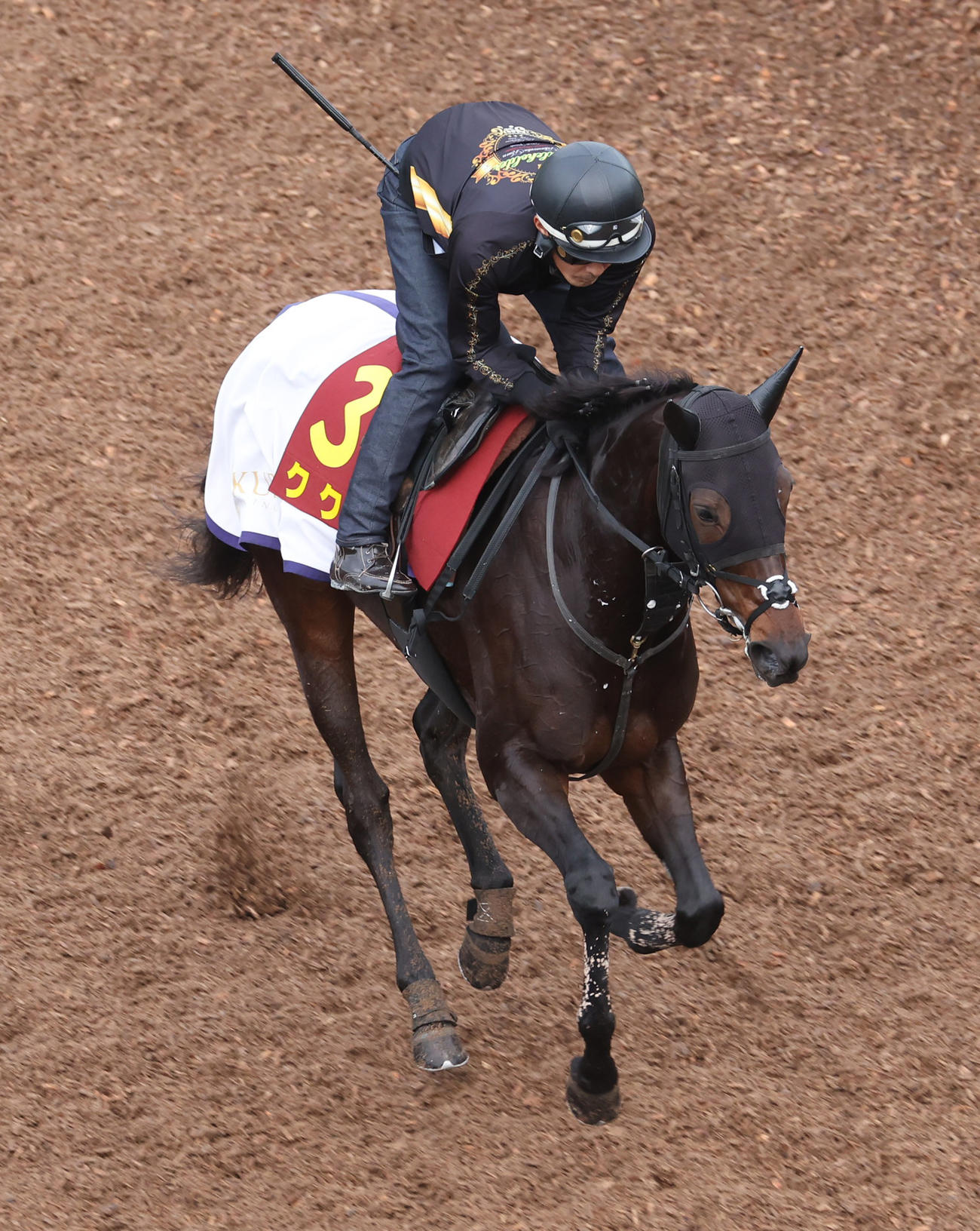 坂路を駆け上がるククナ