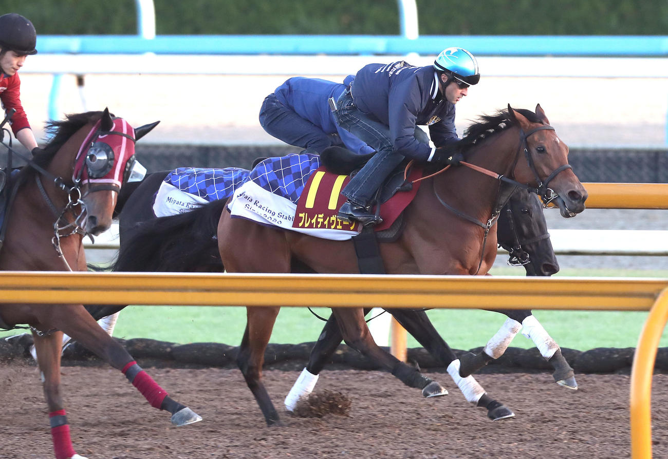 ノワールドゥジェ（奥）と併せ馬で追い切るブレイディヴェーグ（撮影・白石智彦）