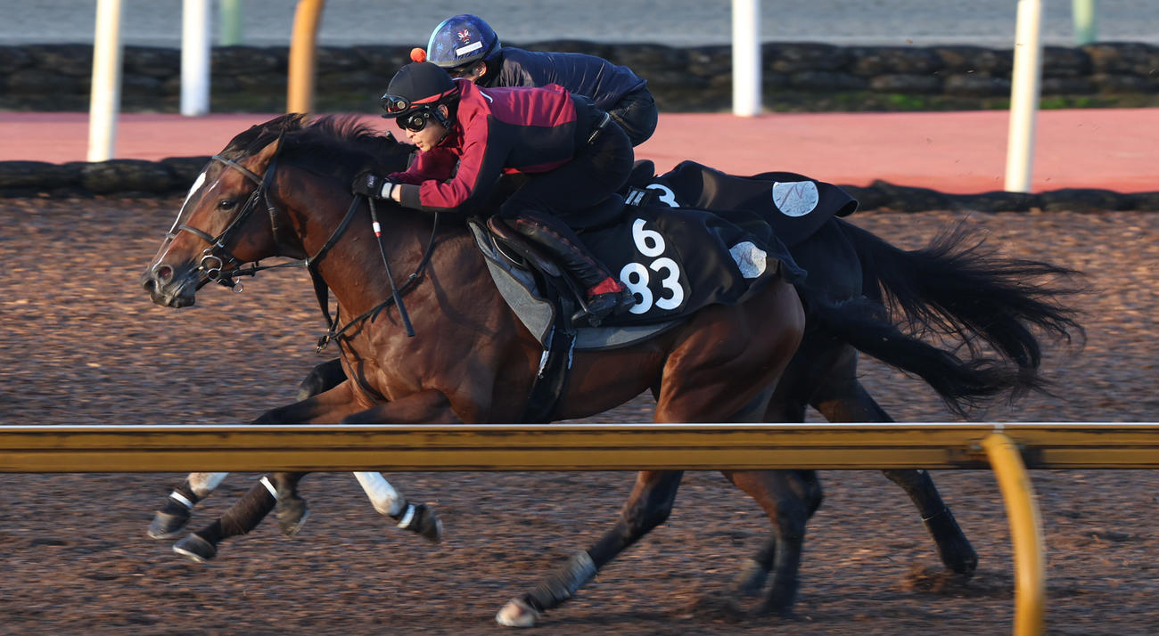 Cウッドにて併せ馬で追い切るダノンキラウェア