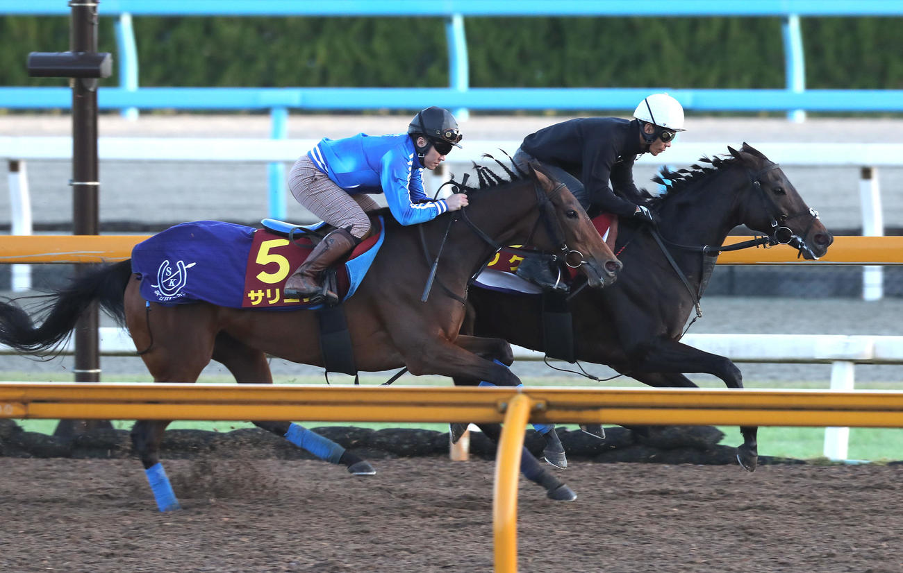 Cウッドを併せ馬で追い切るサリエラ（左）とククナ（撮影・白石智彦）