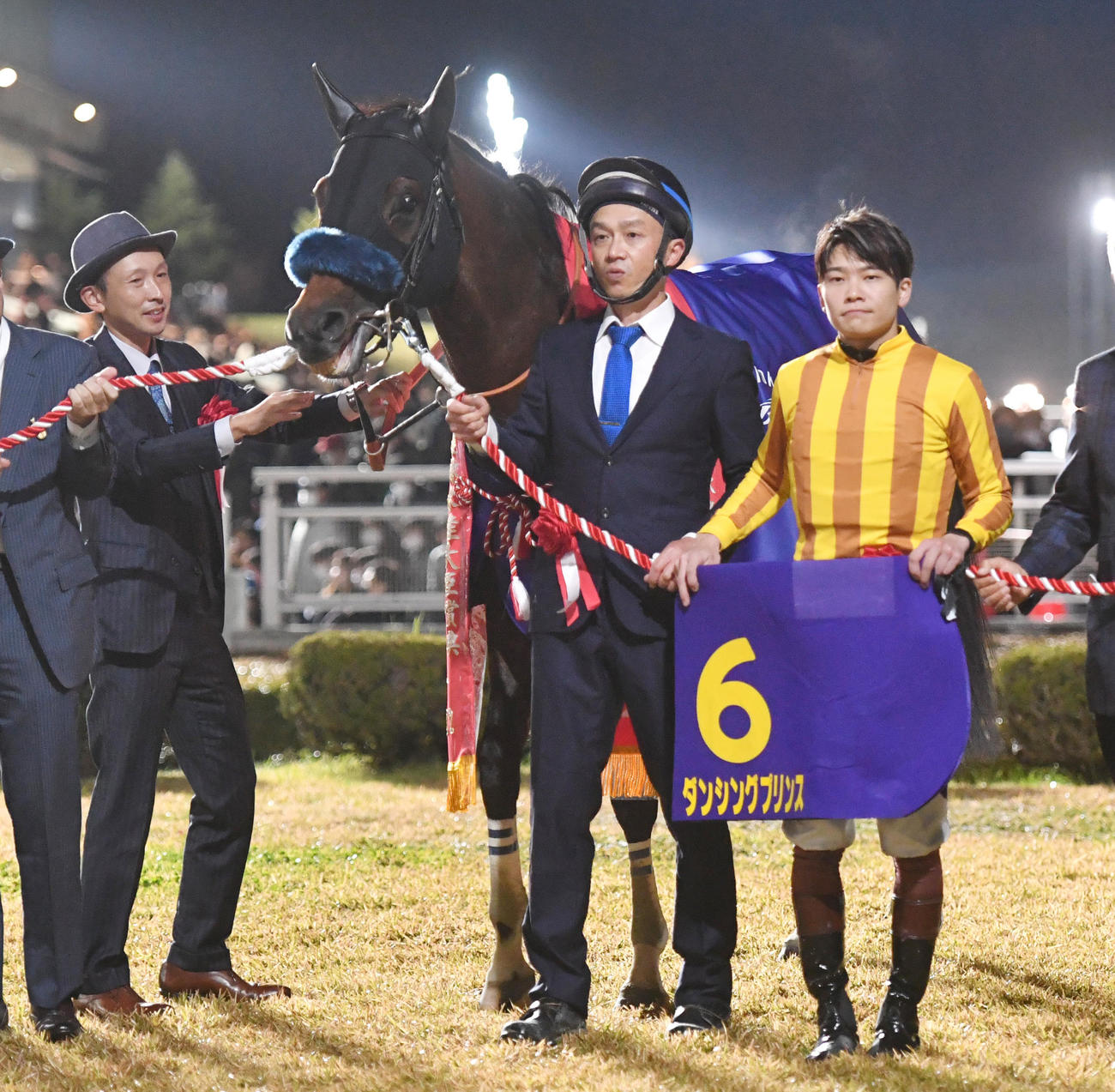 JBCスプリントを制したダンシングプリンス（2022年11月3日撮影）