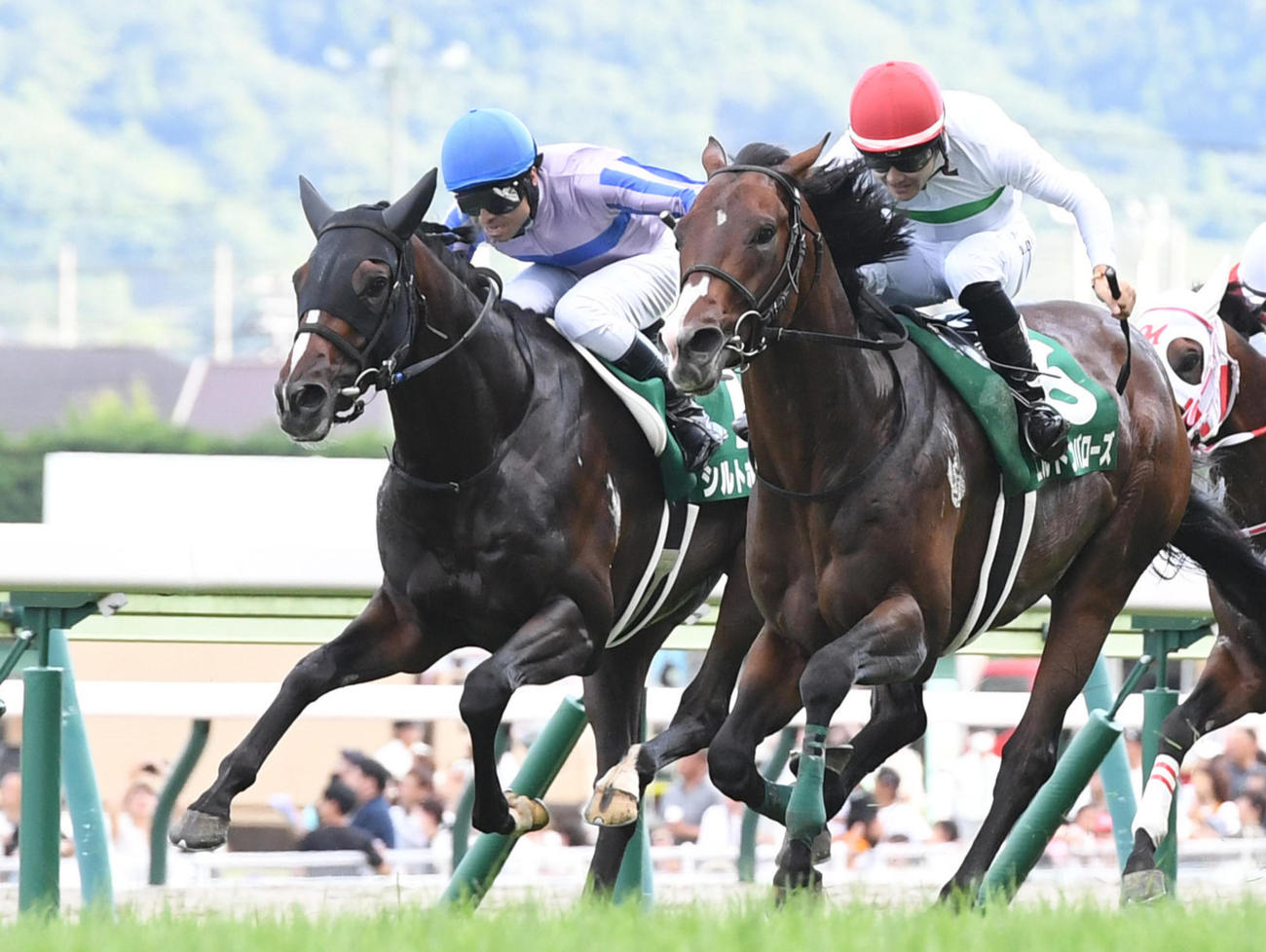 ラジオNIKKEI賞2着のシルトホルン（左）。右は勝ったエルトンバローズ