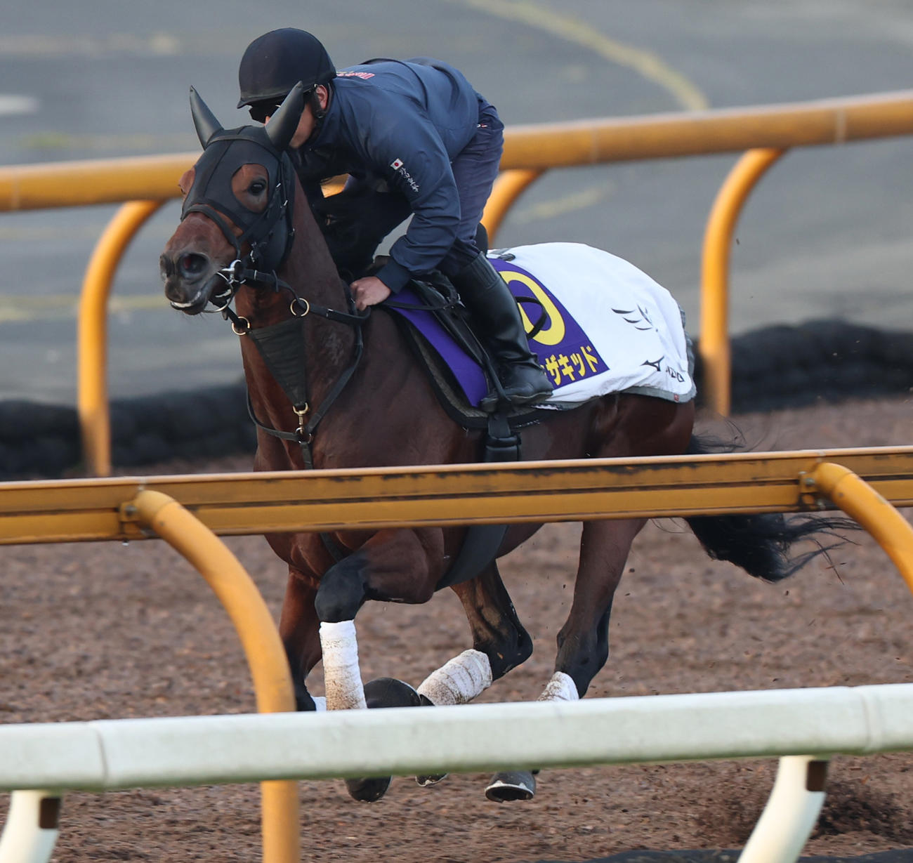 CWコースで追い切るダノンザキッド