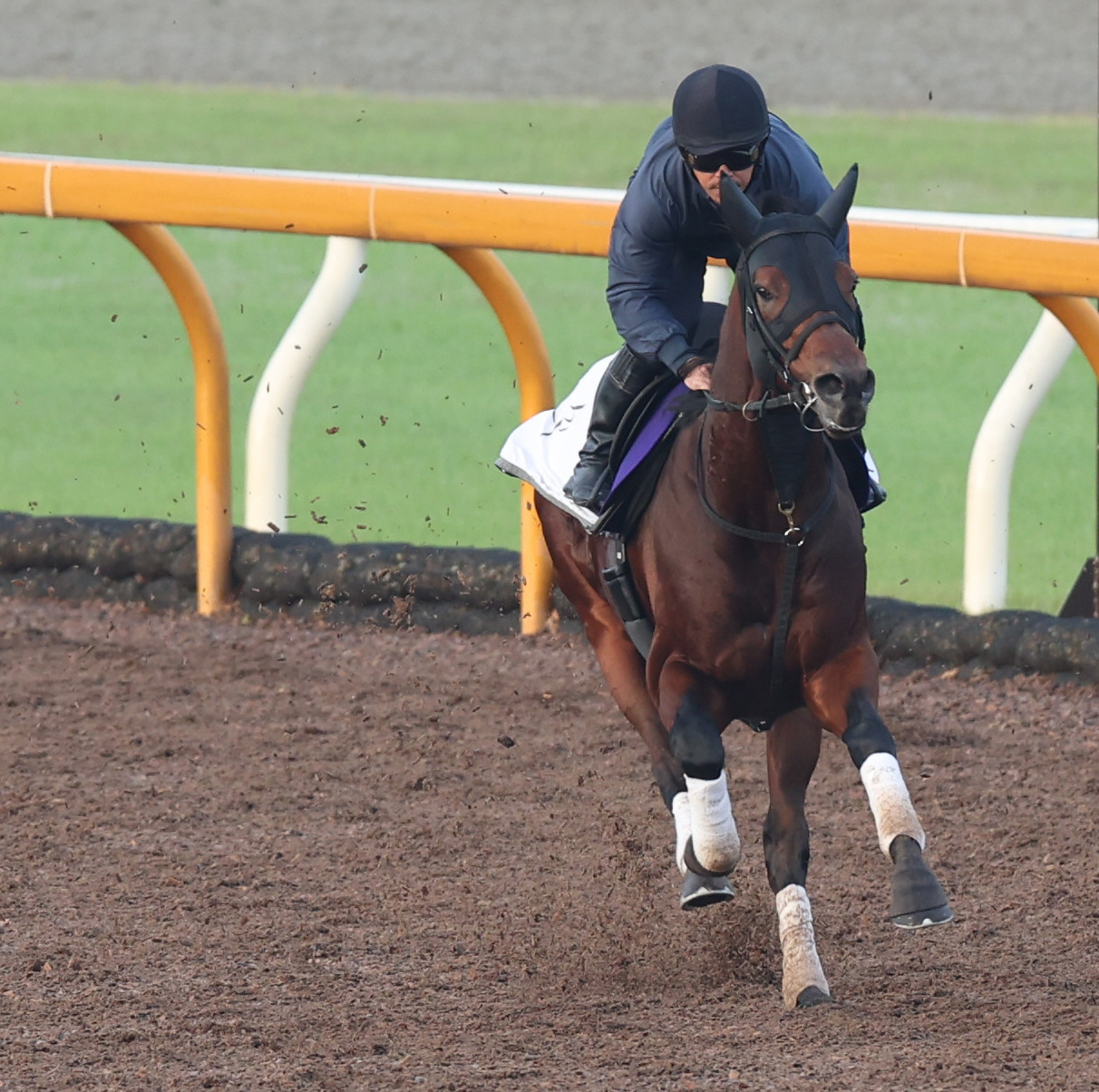 CWコースで追い切るダノンザキッド