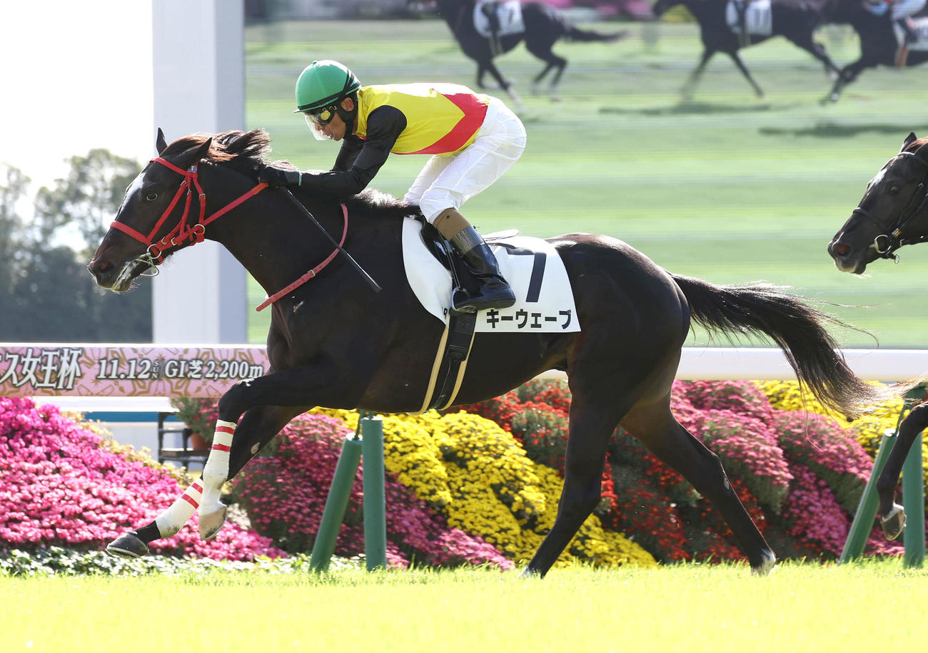京都4R、直線抜け出して新馬戦を制したキーウェーブ（撮影・白石智彦）