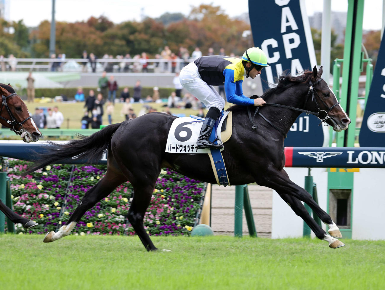 メイクデビュー東京を制したバードウォッチャーとC・ルメール騎手（撮影・鈴木正人）