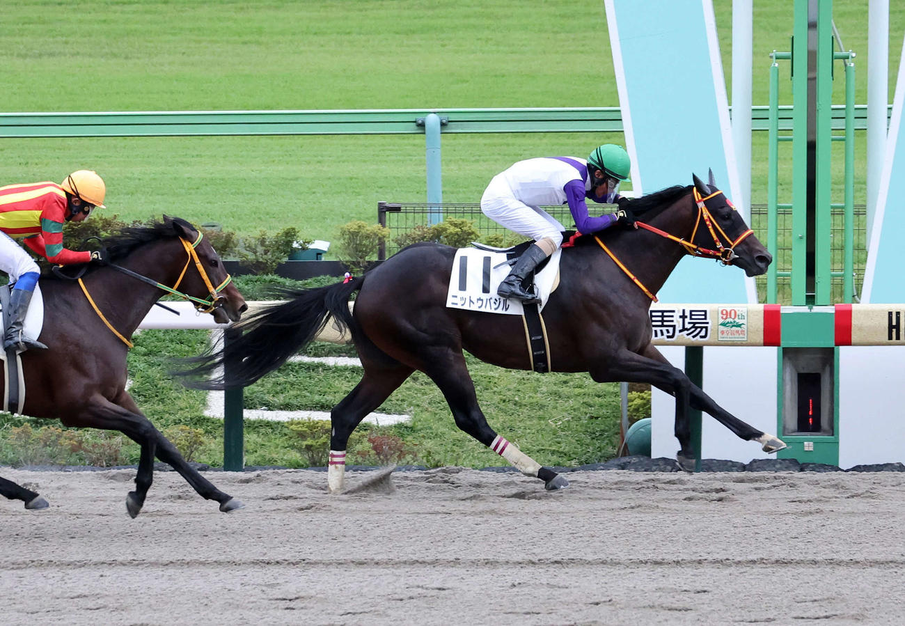 東京7R・1勝クラスを制したニットウバジル（右）と柴田善臣騎手（撮影・鈴木正人）