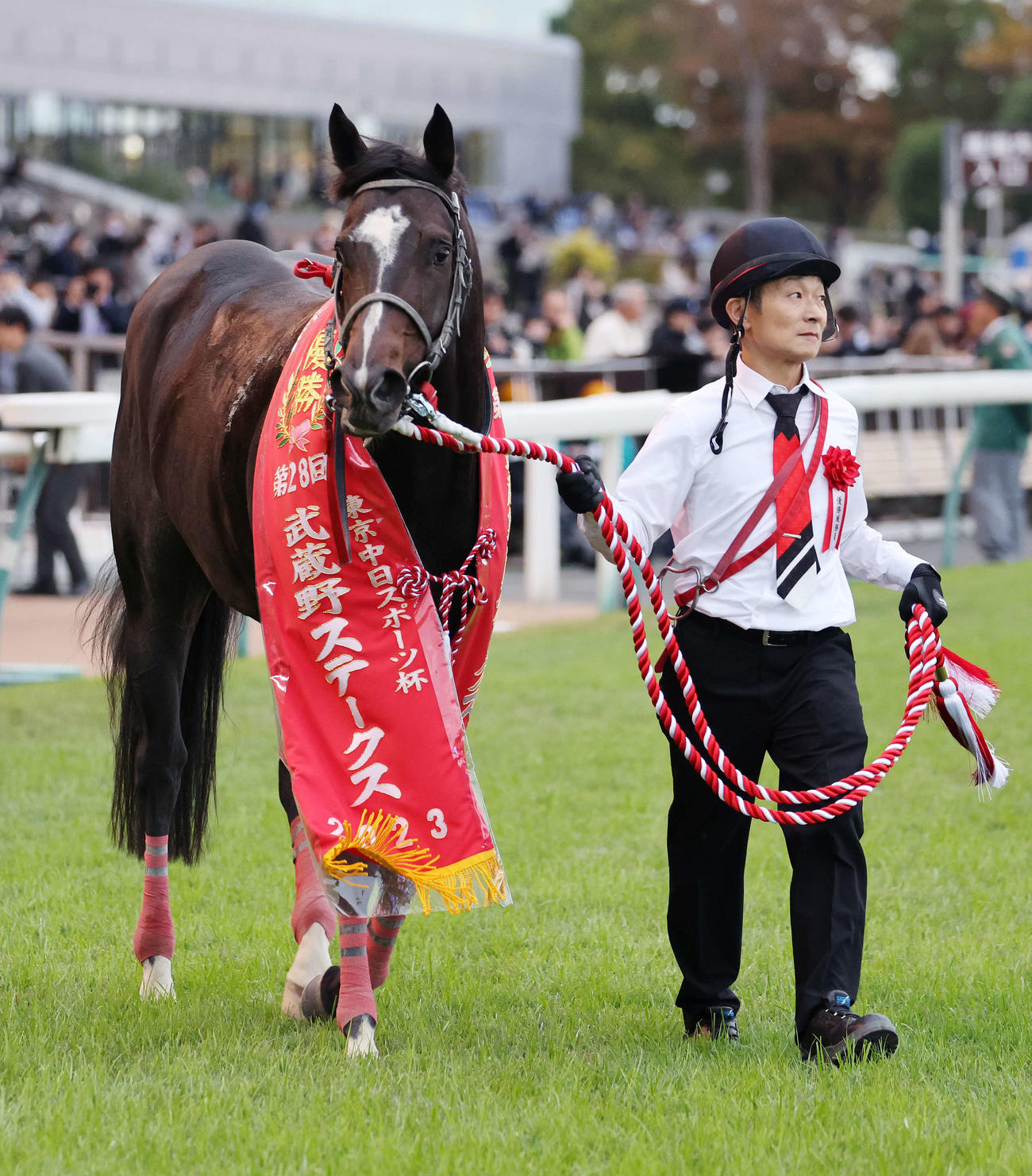 武蔵野Sを制したドライスタウト（撮影・鈴木正人）