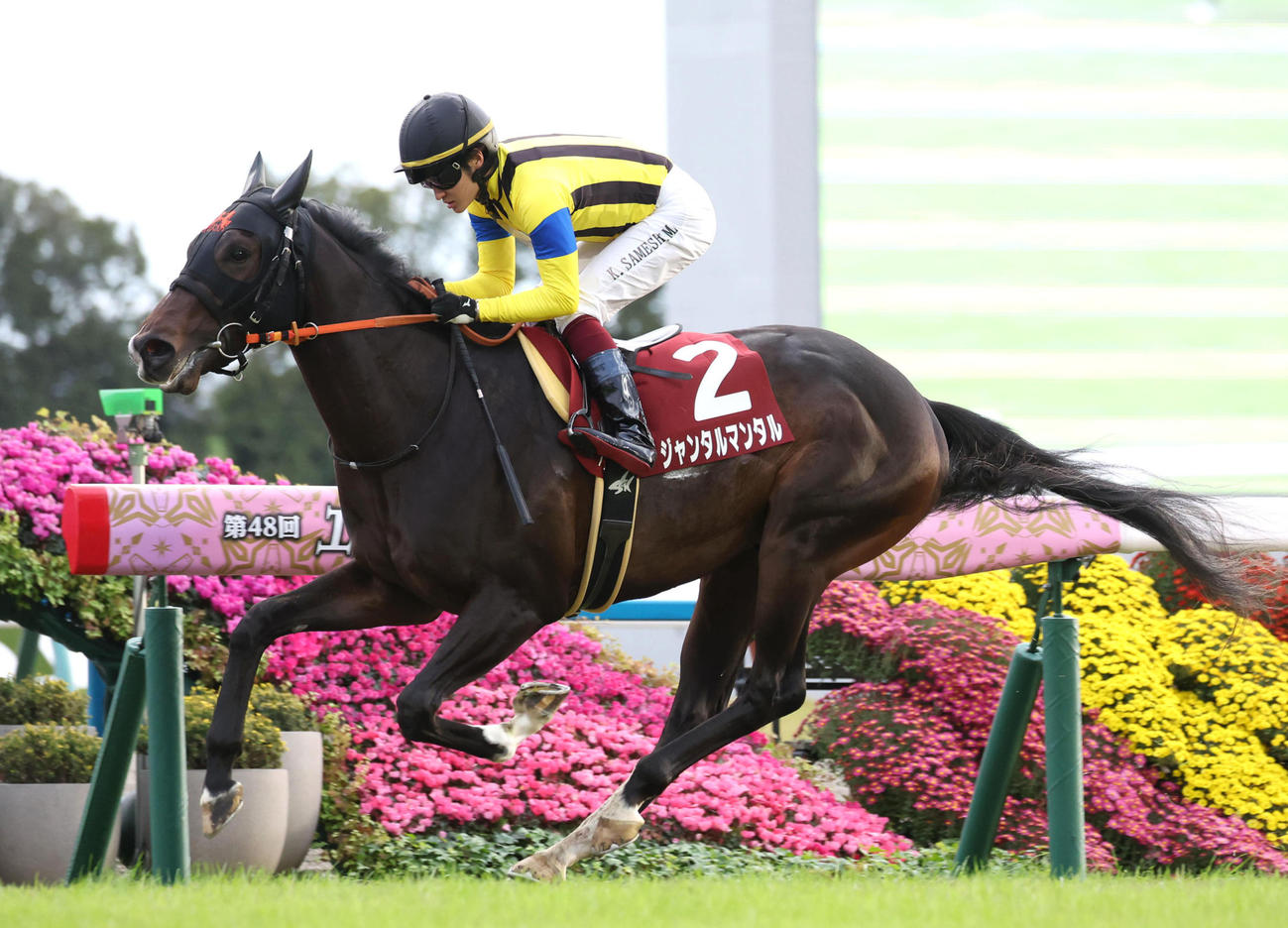 直線抜け出してデイリー杯2歳Sを快勝したジャンタルマンタル（撮影・白石智彦）