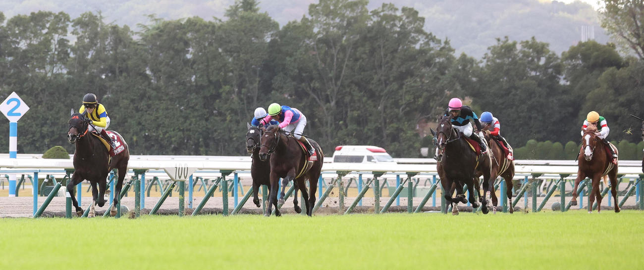 直線抜け出してデイリー杯2歳Sを快勝したジャンタルマンタル（左）（撮影・白石智彦）