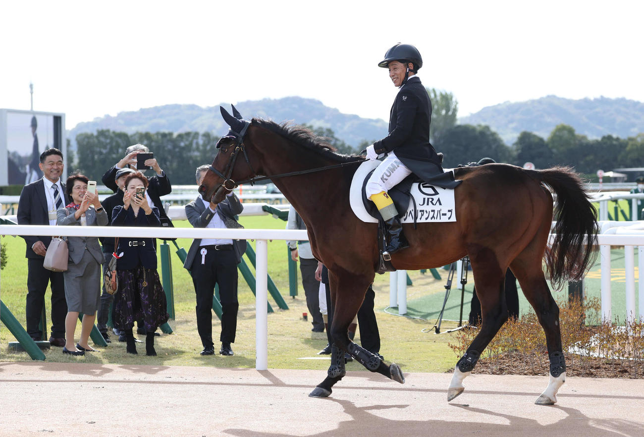 誘導馬に騎乗して京都ジャンプSの誘導をした熊沢騎手（撮影・白石智彦）