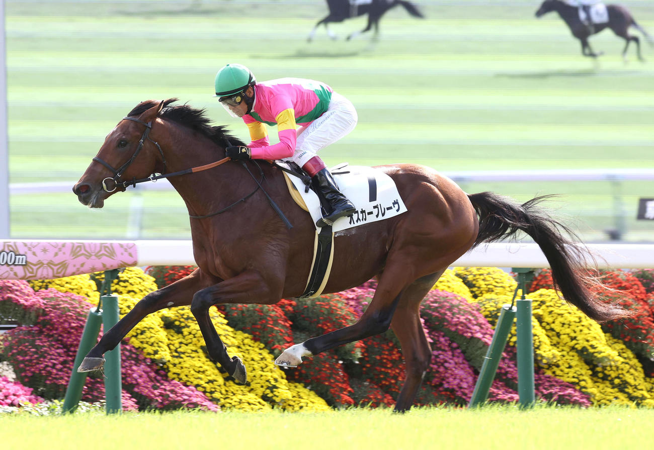 逃げ切って新馬戦を制したオスカーブレーヴ（撮影・白石智彦）