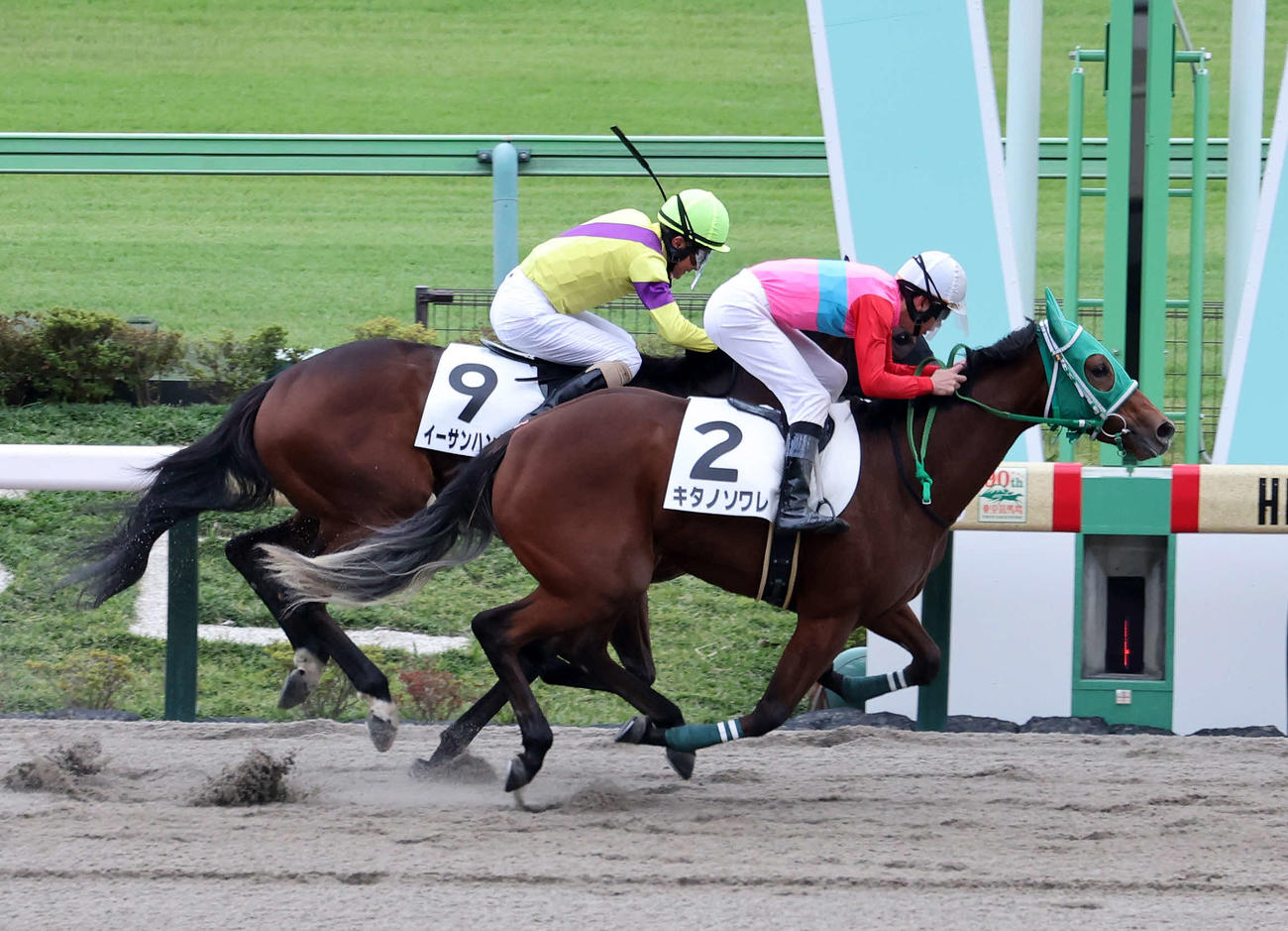 メイクデビュー東京を制したキタノソワレ（手前）と宮崎北斗騎手（撮影・鈴木正人）