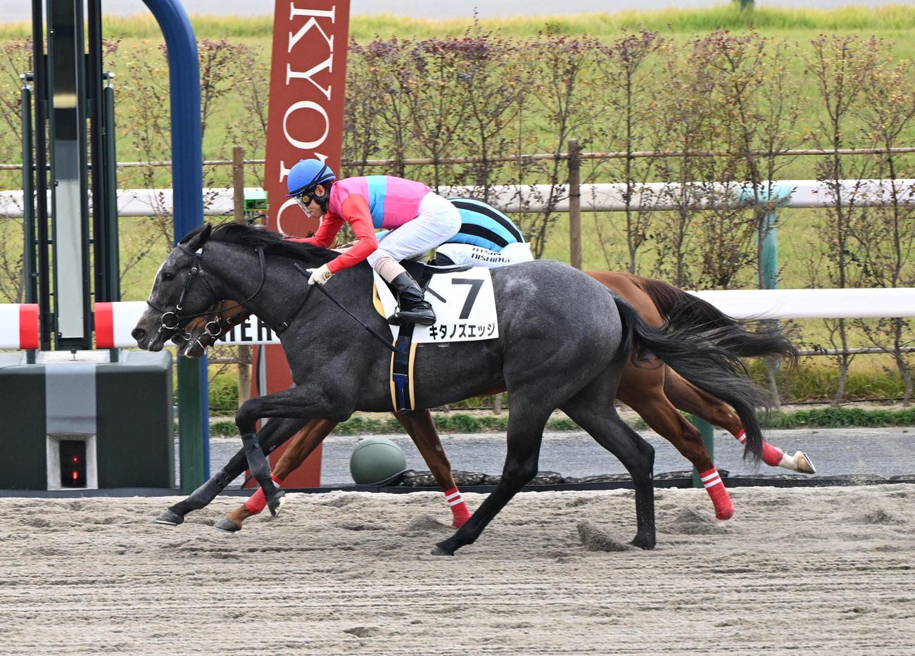 京都競馬4R新馬戦　モンシェリ（奥）に競り勝ち新馬戦を制したキタノズエッジ（撮影・和賀正仁）