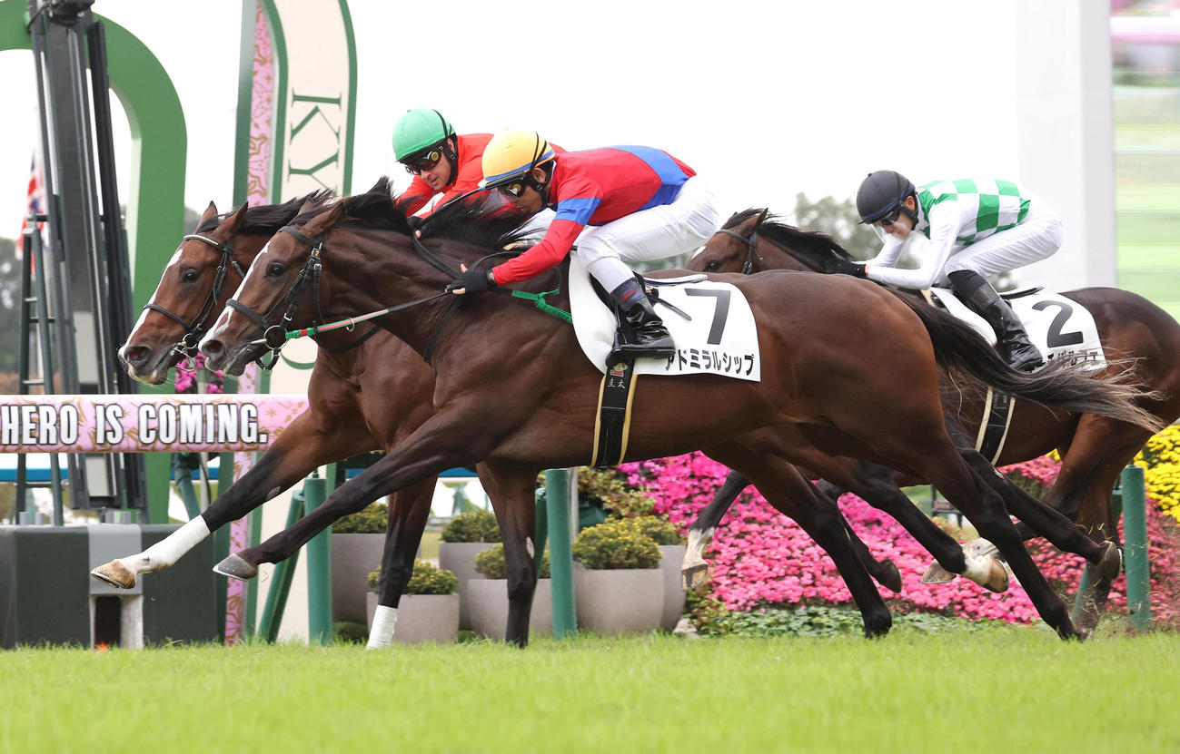 京都5R新馬戦、ヴィレム（奥）との接戦を制して勝利したアドミラルシップ（撮影・白石智彦）