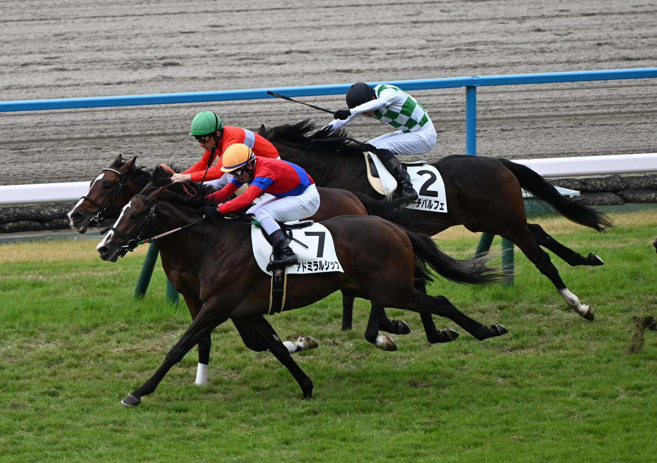京都5R新馬戦、ヴィレム（中央）との接戦を制して勝利したアドミラルシップ（撮影・和賀正仁）