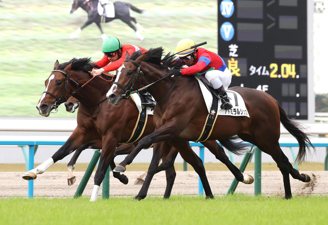 京都5R新馬戦、ヴィレム（左）との接戦を制して勝利したアドミラルシップ（撮影・白石智彦）