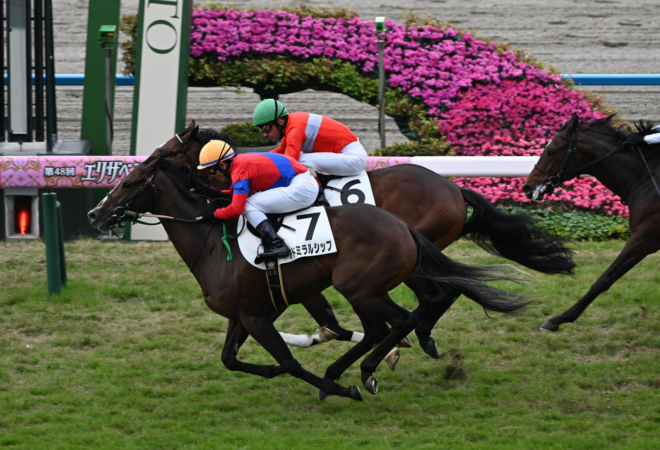 京都5R新馬戦、ヴィレム（奥）との接戦を制して勝利したアドミラルシップ（撮影・和賀正仁）