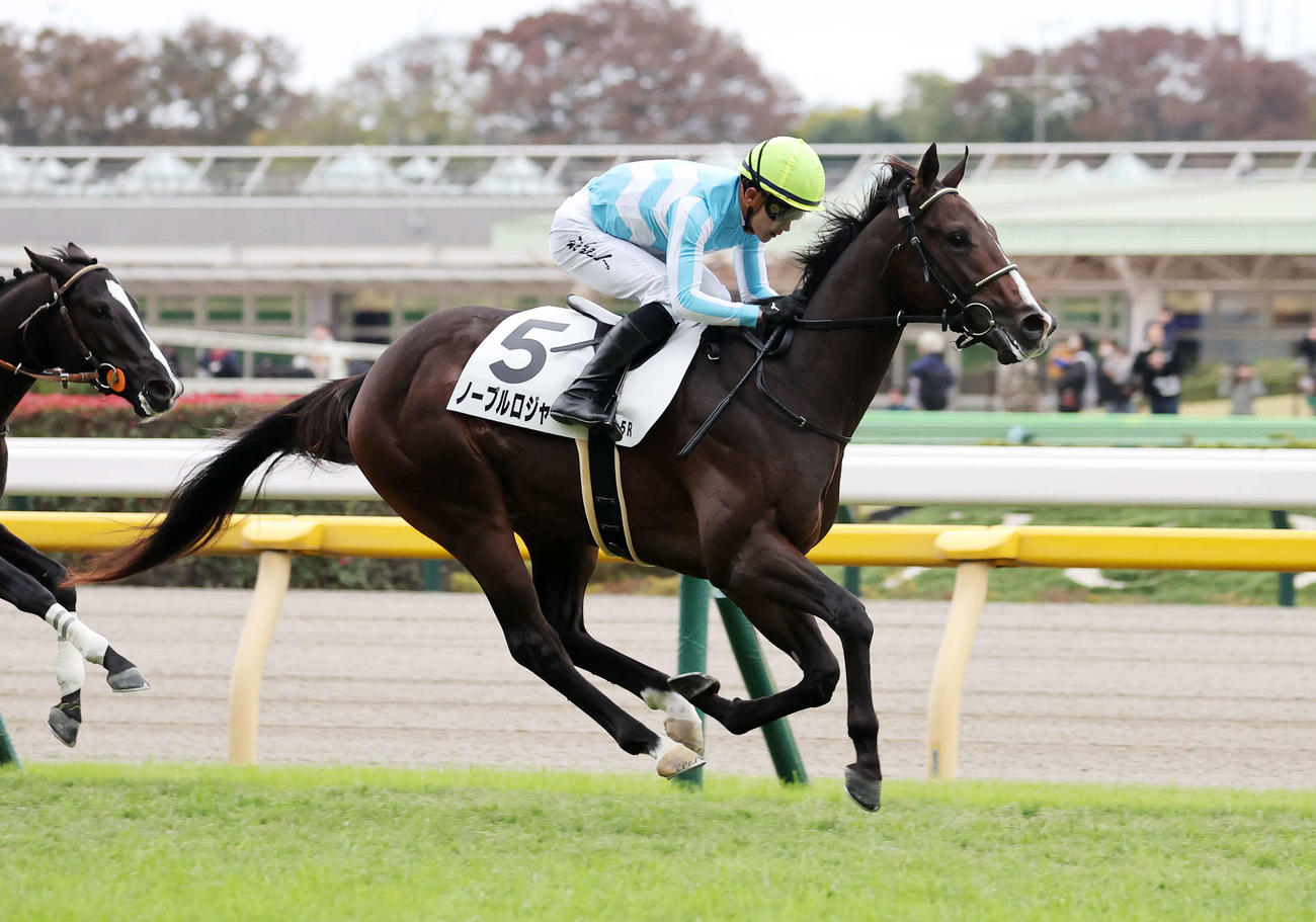 東京5R新馬戦を制したノーブルロジャーと石川裕紀人騎手（撮影・鈴木正人）