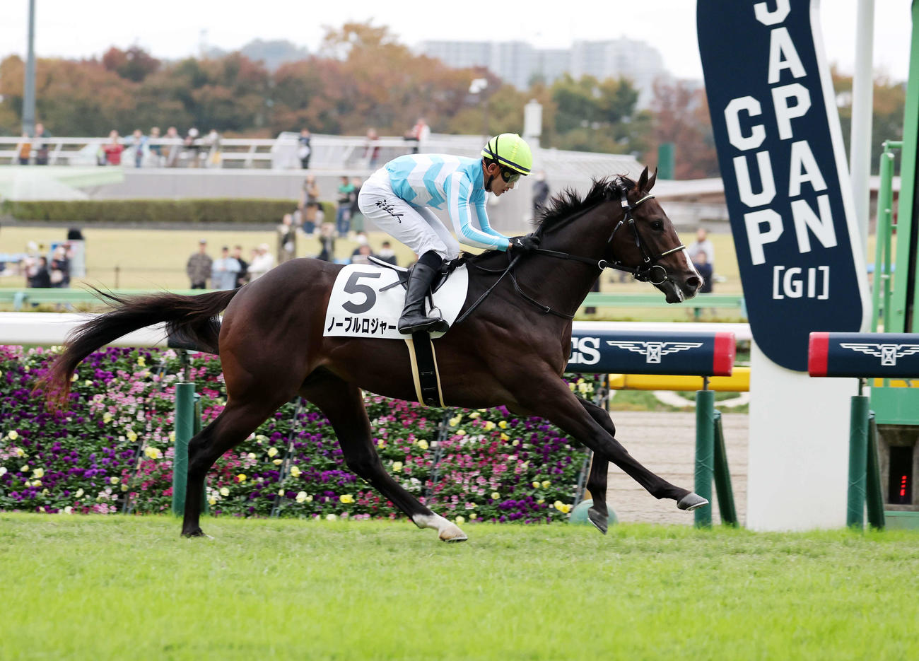東京5R新馬戦を制したノーブルロジャーと石川裕紀人騎手（撮影・鈴木正人）
