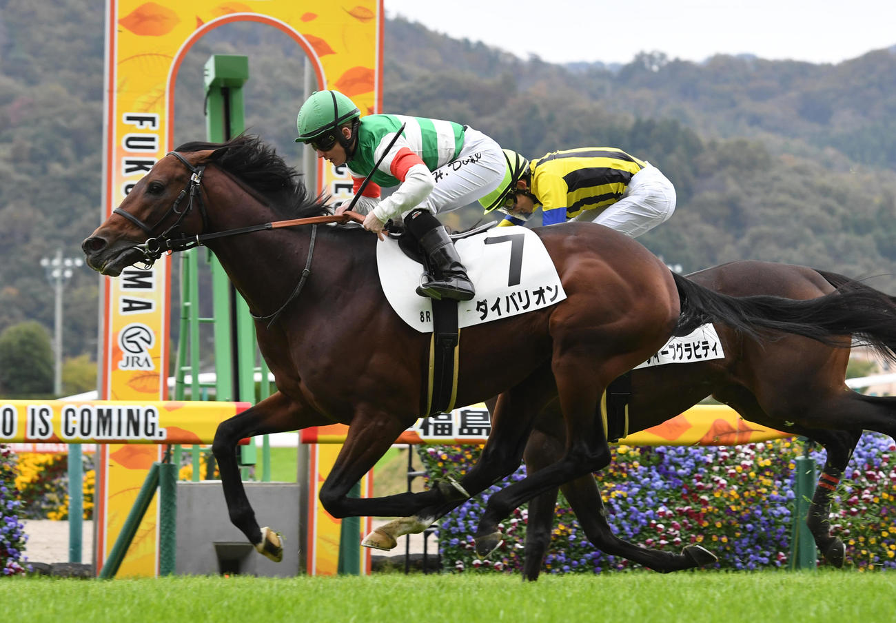 福島8R、1着ダイバリオン（手前）、2着ディープグラビティ（撮影・柴田隆二）