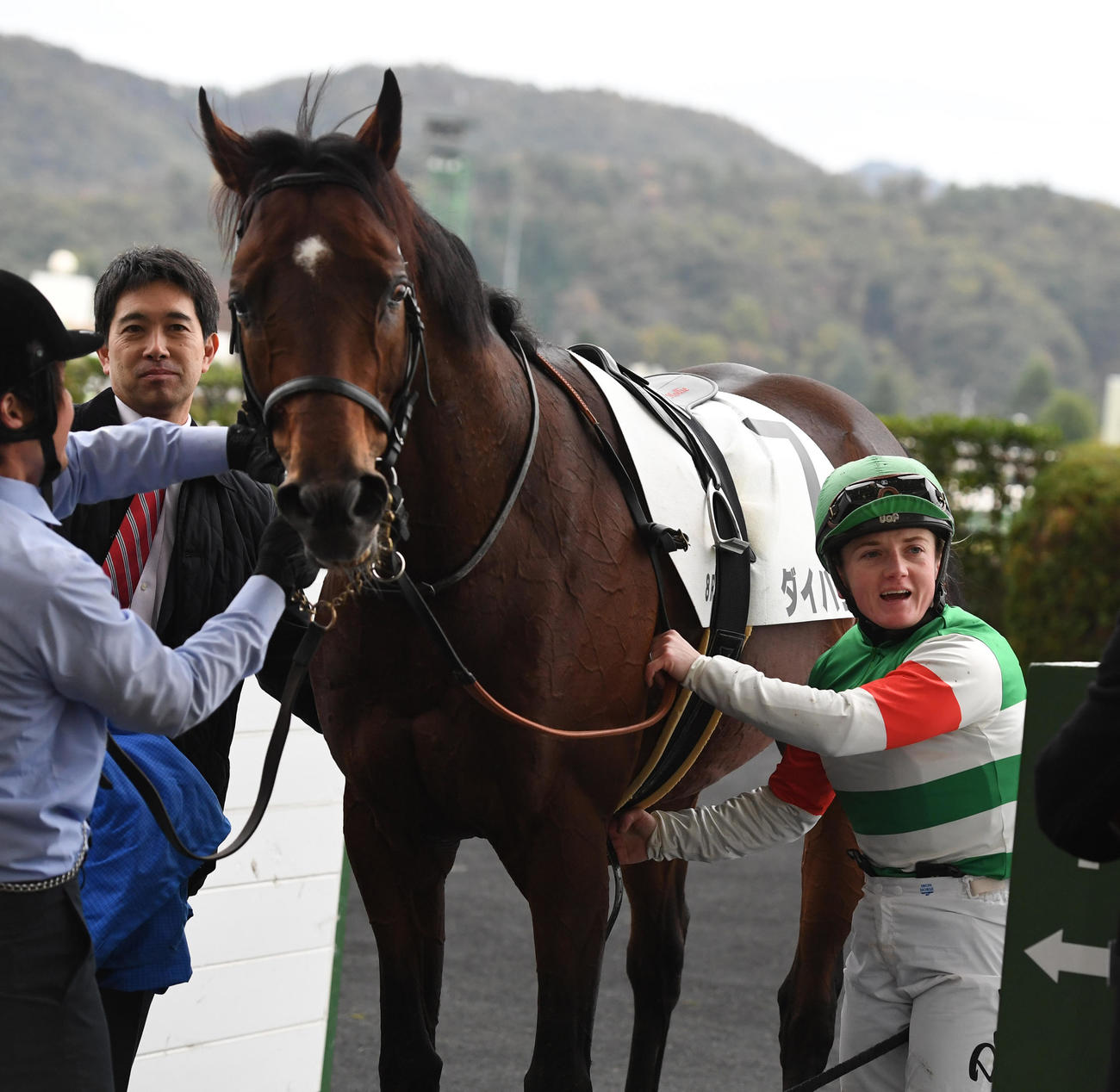 福島8R、1着ダイバリオンとホリー・ドイル騎手（撮影・柴田隆二）