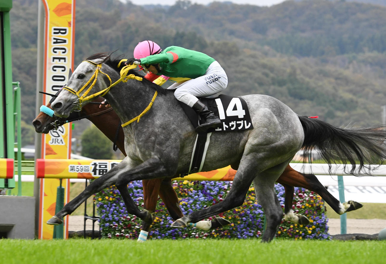 福島2歳Sを制したエトヴプレ（手前）、2着クリスアーサー（撮影・柴田隆二）