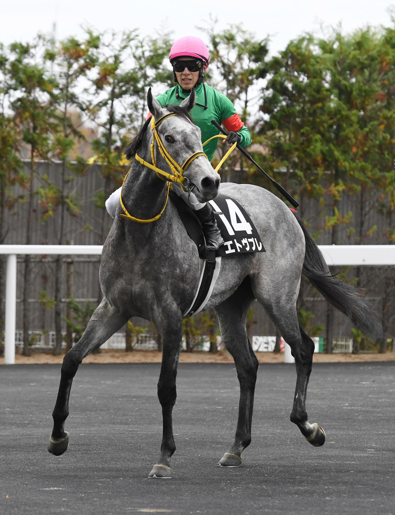 福島2歳Sを制したエトヴプレと藤岡佑介騎手（撮影・柴田隆二）
