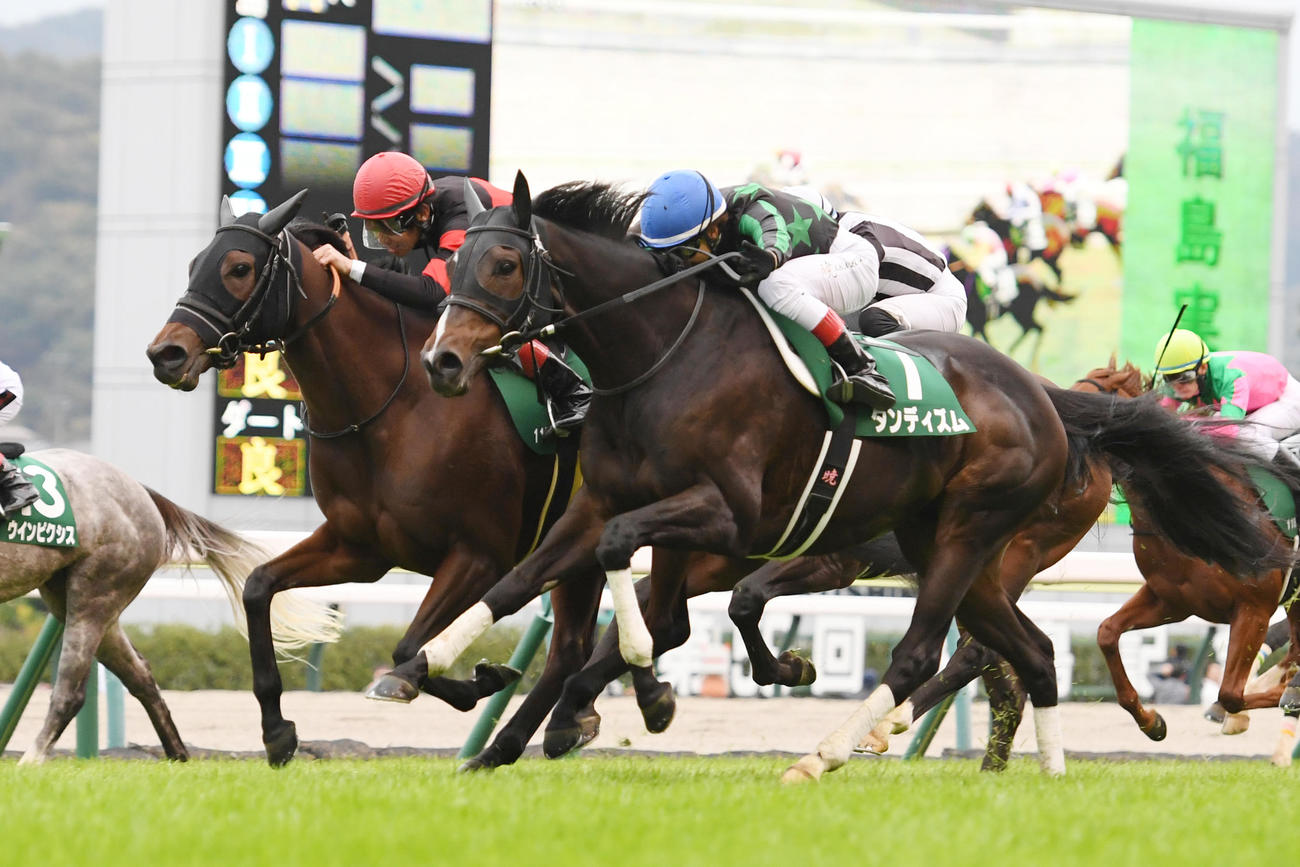 福島11R、福島記念を制したホウオウエミーズ（左）、2着ダンディズム（撮影・柴田隆二）