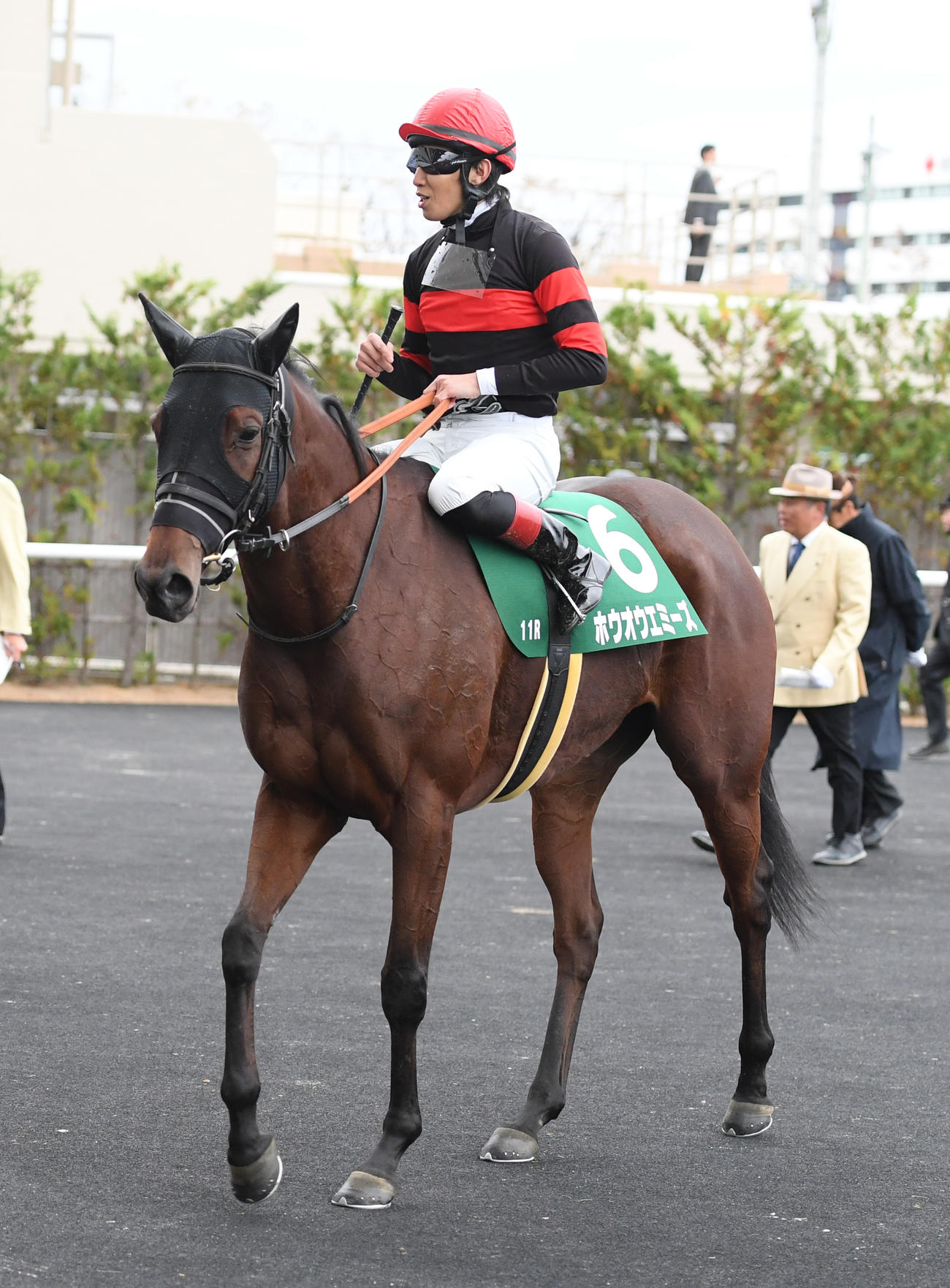 福島11R、福島記念を制したホウオウエミーズと田辺騎手（撮影・柴田隆二）